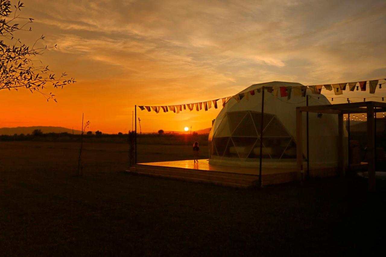 Jewelberry Glamping Hotel Tbilisi Mtsʼkhetʼa エクステリア 写真