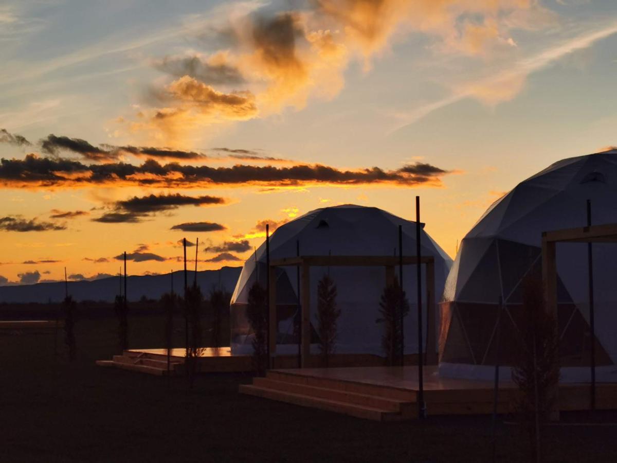 Jewelberry Glamping Hotel Tbilisi Mtsʼkhetʼa エクステリア 写真