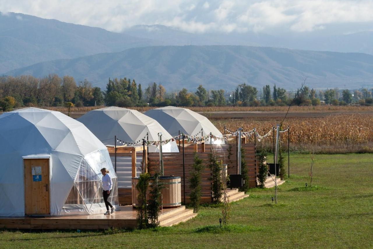Jewelberry Glamping Hotel Tbilisi Mtsʼkhetʼa エクステリア 写真