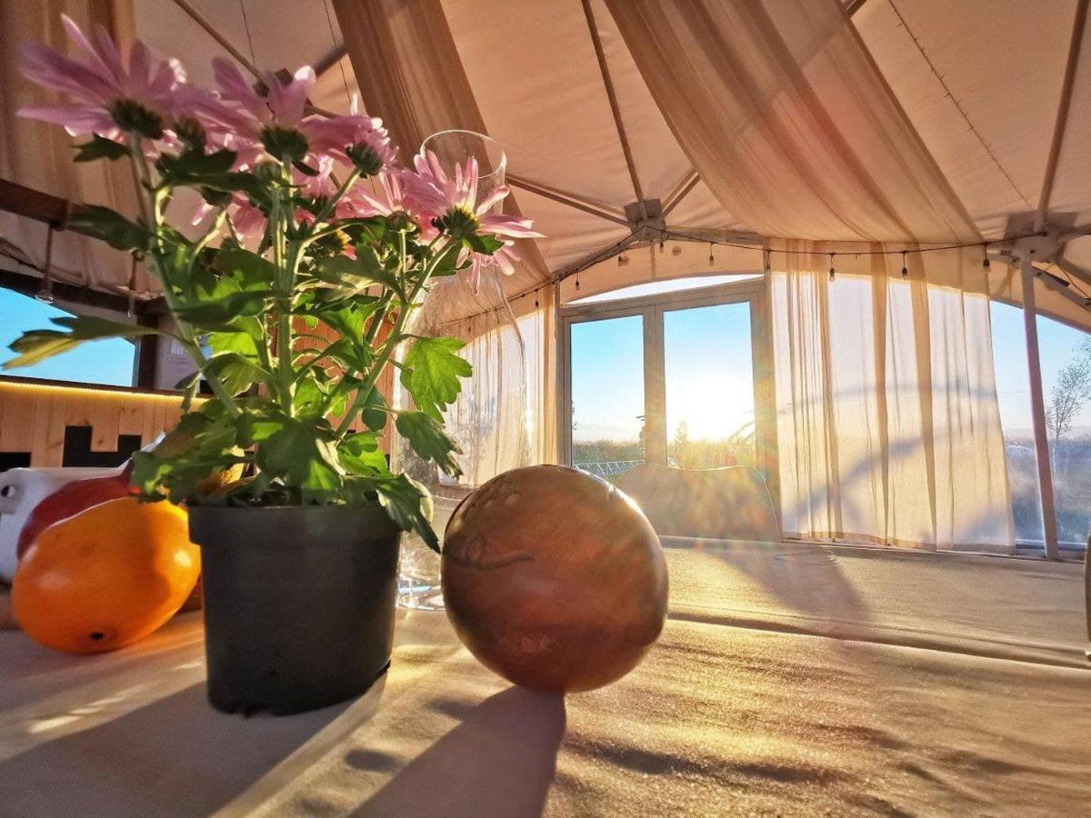 Jewelberry Glamping Hotel Tbilisi Mtsʼkhetʼa エクステリア 写真